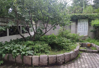 西郊山林休闲养生度假公园第 12 张图片