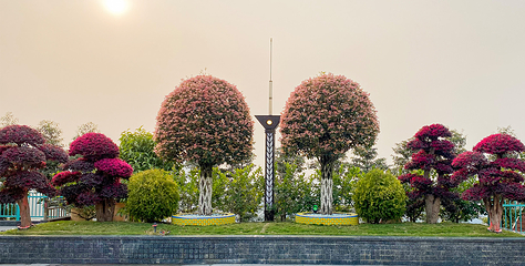 海滨城景区·天空渌道精灵王国第 16 张图片