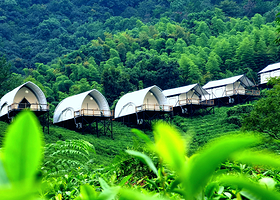 境见·茶野里野奢帐篷露营地
