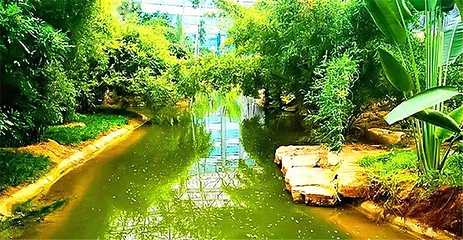 九州伊甸园第 2 张图片