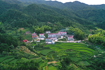 岳西金榜乡村第 21 张图片