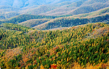 城子山风景区第 13 张图片