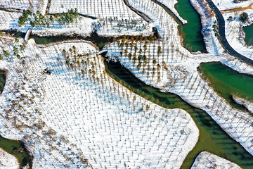 泗洪洪泽湖湿地景区第 83 张图片