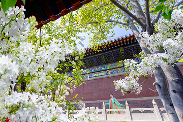 红螺寺第 24 张图片