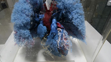 人体科学展览馆