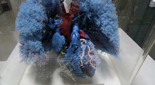 人体科学展览馆