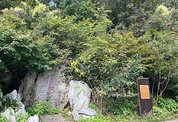 栖霞山第 104 张图片