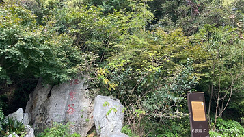 南京栖霞山风景名胜区-红叶谷