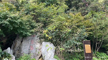 南京栖霞山风景名胜区-红叶谷第 1 张图片