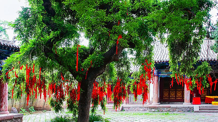 南郭寺第 1 张图片