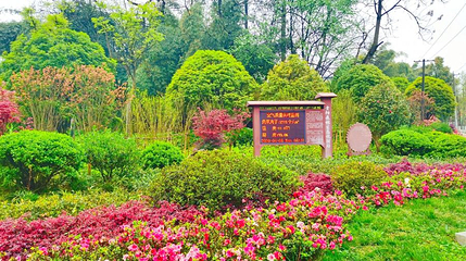 长坡岭国家森林公园第 1 张图片