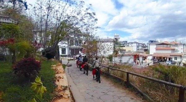 大理茶马古道骑马