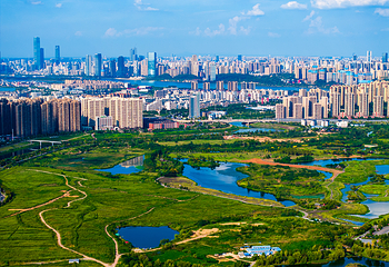 洋湖湿地公园第 1 张图片