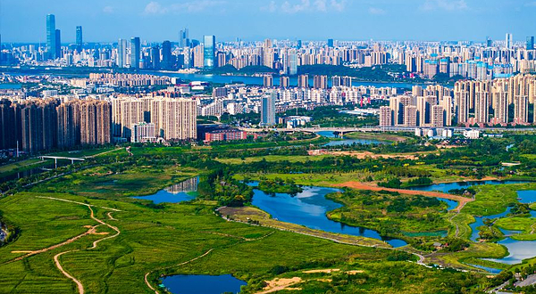 洋湖湿地公园