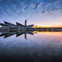 丹顶鹤湿地生态旅游区