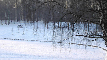 潮白河森林公园