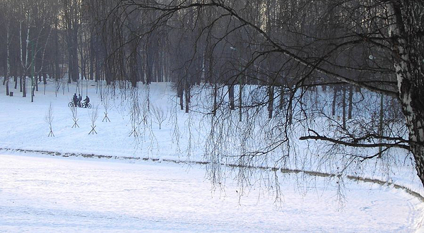 潮白河森林公园