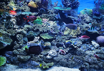 常州海昌海洋探索馆第 6 张图片
