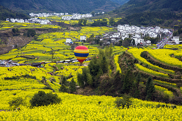 江岭景区第 94 张图片