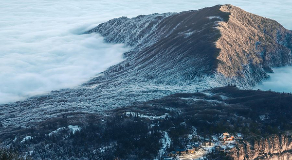 峨眉山涧云中花岭