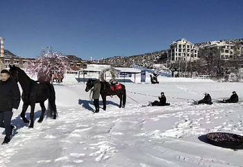 西郊森乐谷旅游度假区第 5 张图片