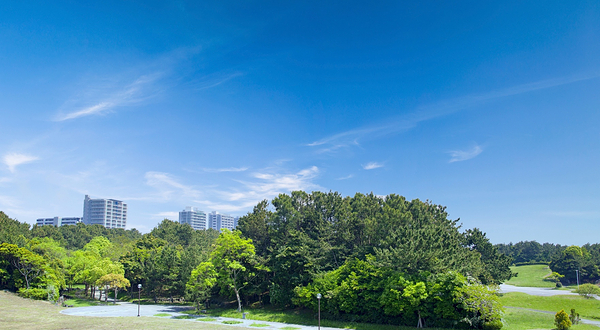 千叶县立幕张海滨公园