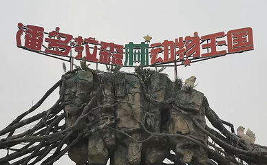 潘多拉森林动物王国第 23 张图片