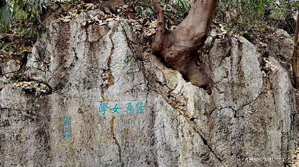 云居山摩崖石刻群第 1 张图片