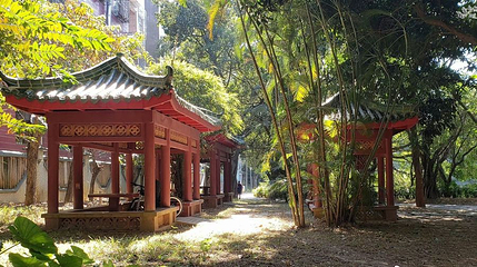 北湖第 1 张图片