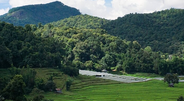 Pha Dok Sieo Nature Trail