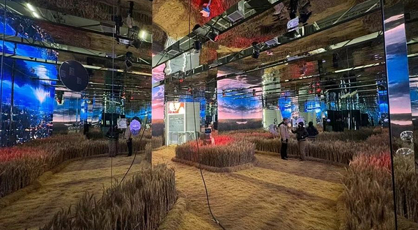 【成都】《建发·三体》沉浸式艺术展