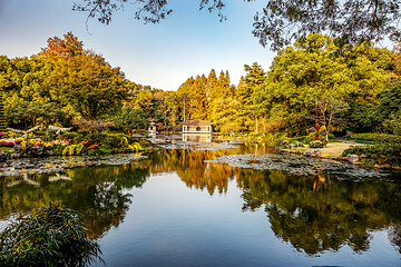 西湖风景名胜区第 260 张图片