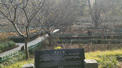 花芯广场第 1 张图片
