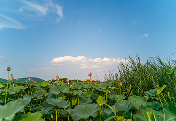 徐州云龙湖风景区第 13 张图片