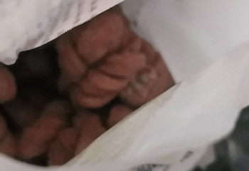 陈建平麻花(磁器口总店)第 12 张图片