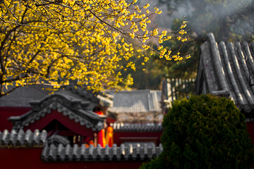 泰山风景区第 167 张图片