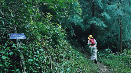 高黎贡山中段自然保护区第 1 张图片