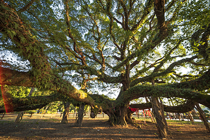 福州国家森林公园
