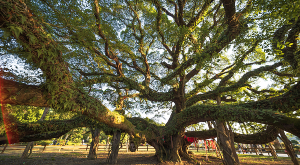 福州国家森林公园