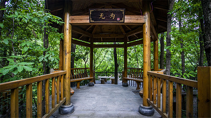 颐和伏牛山居温泉第 11 张图片