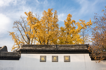 狮子林第 20 张图片
