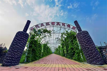 奥德曼葡萄酒庄园第 14 张图片