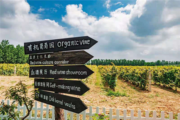 奥德曼葡萄酒庄园第 3 张图片