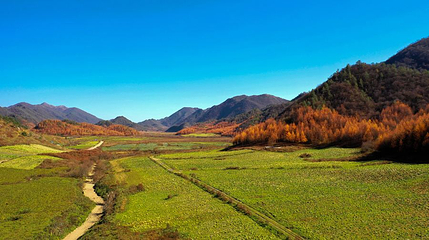 红池坝高山草场第 1 张图片