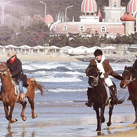 威海金辰骑马俱乐部