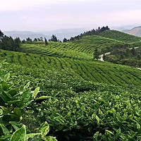 乐业县故事小镇