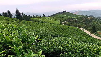 乐业县故事小镇