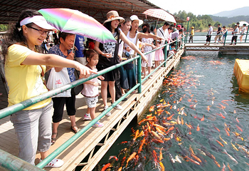 万绿湖风景区第 39 张图片