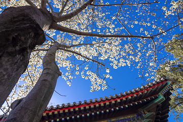 红螺寺第 152 张图片