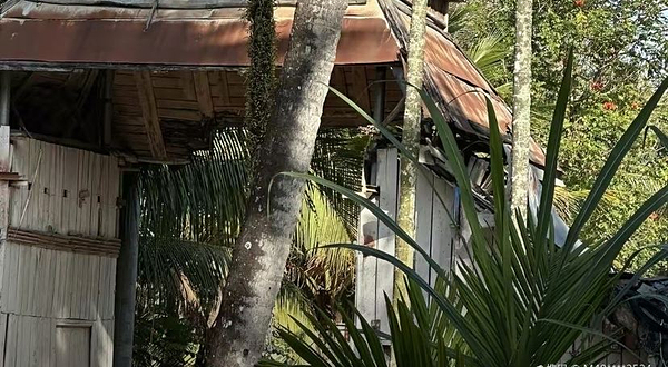 南田黎苗风情村